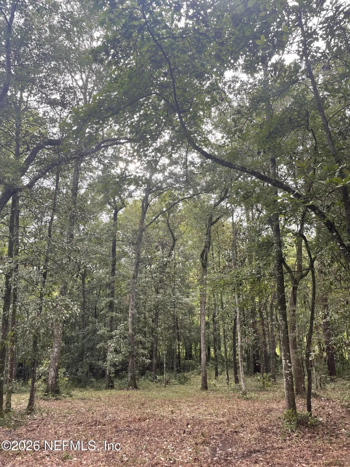 4825 Gopher Circle Middleburg FL 32068