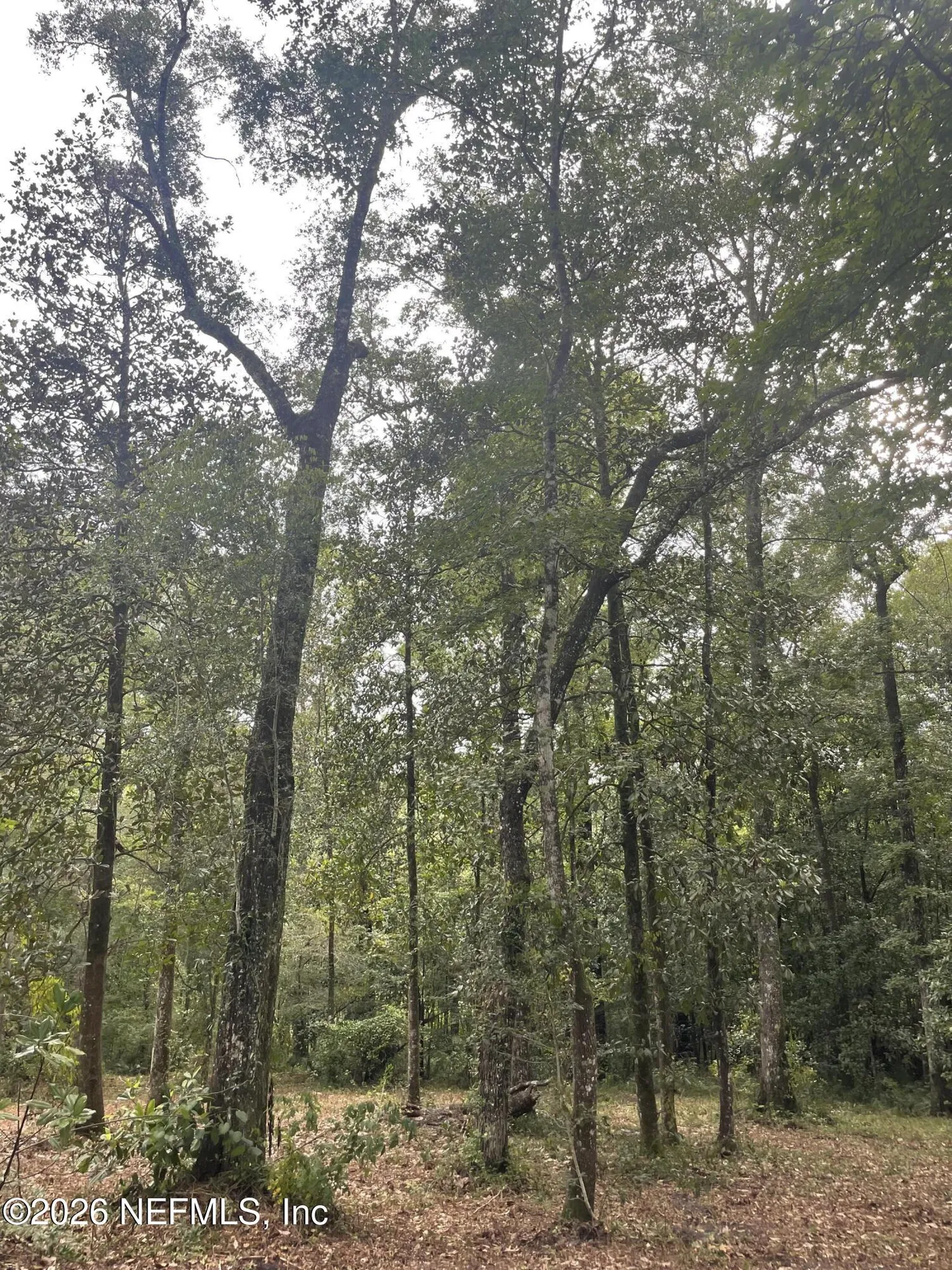 4825 Gopher Circle Middleburg FL 32068