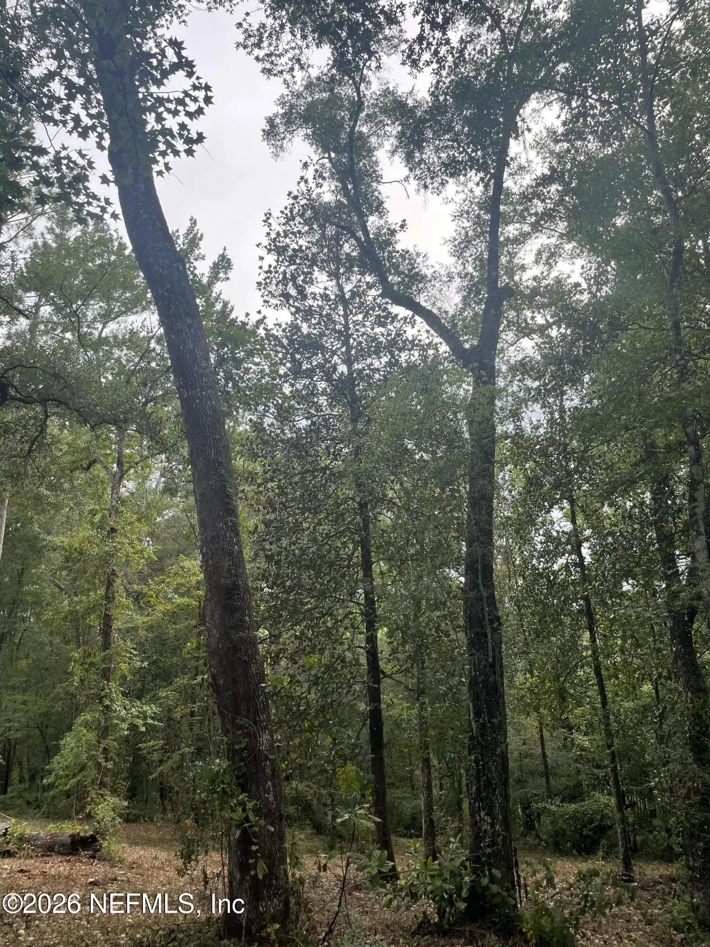 4825 Gopher Circle Middleburg FL 32068