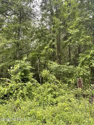 4825 Gopher Circle Middleburg FL 32068