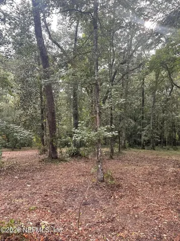 4825 Gopher Circle Middleburg FL 32068