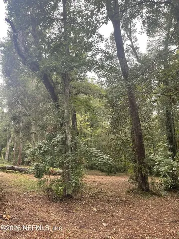 4825 Gopher Circle Middleburg FL 32068