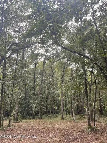 4825 Gopher Circle Middleburg FL 32068