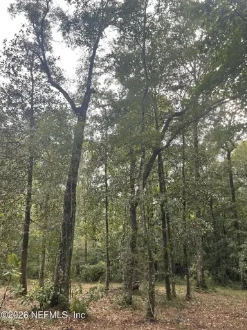 4825 Gopher Circle Middleburg FL 32068
