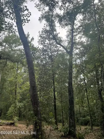 4825 Gopher Circle Middleburg FL 32068