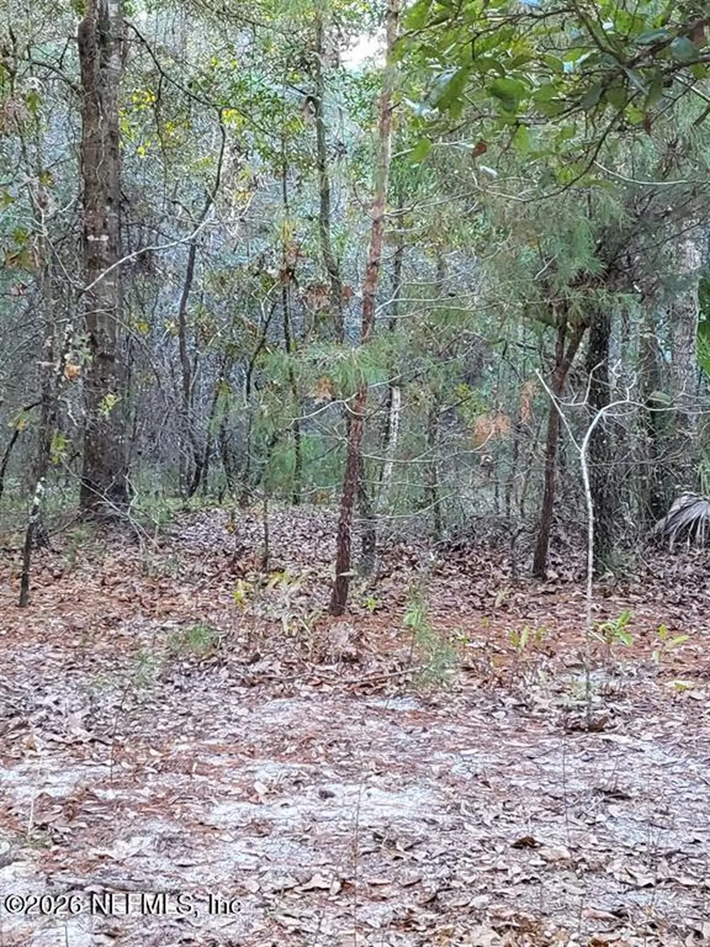 00 Beulah Church Road Crescent City FL 32112
