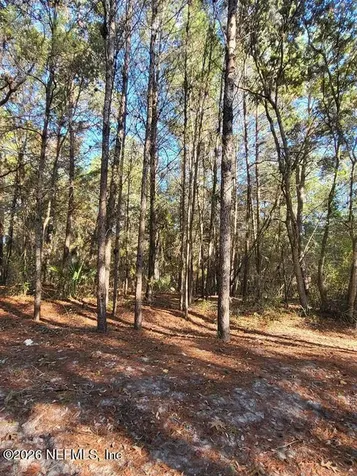 00 Beulah Church Road Crescent City FL 32112