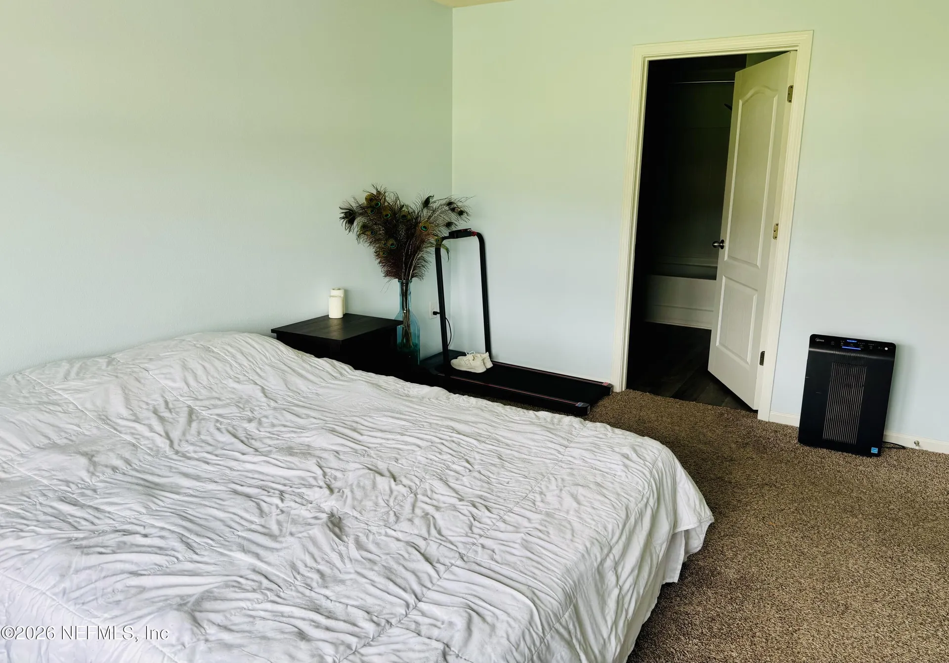 2257 Willow Springs Drive Green Cove Springs FL 32043
