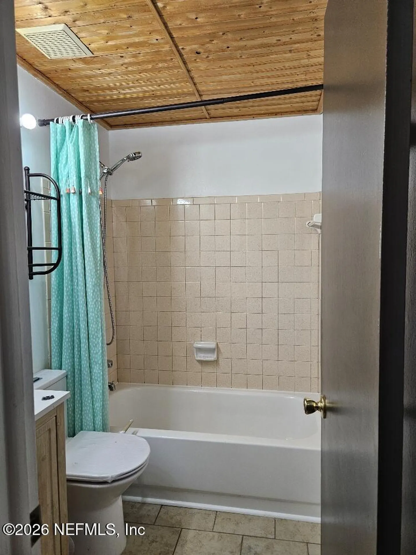 1723 Mary Beth Court Middleburg FL 32068
