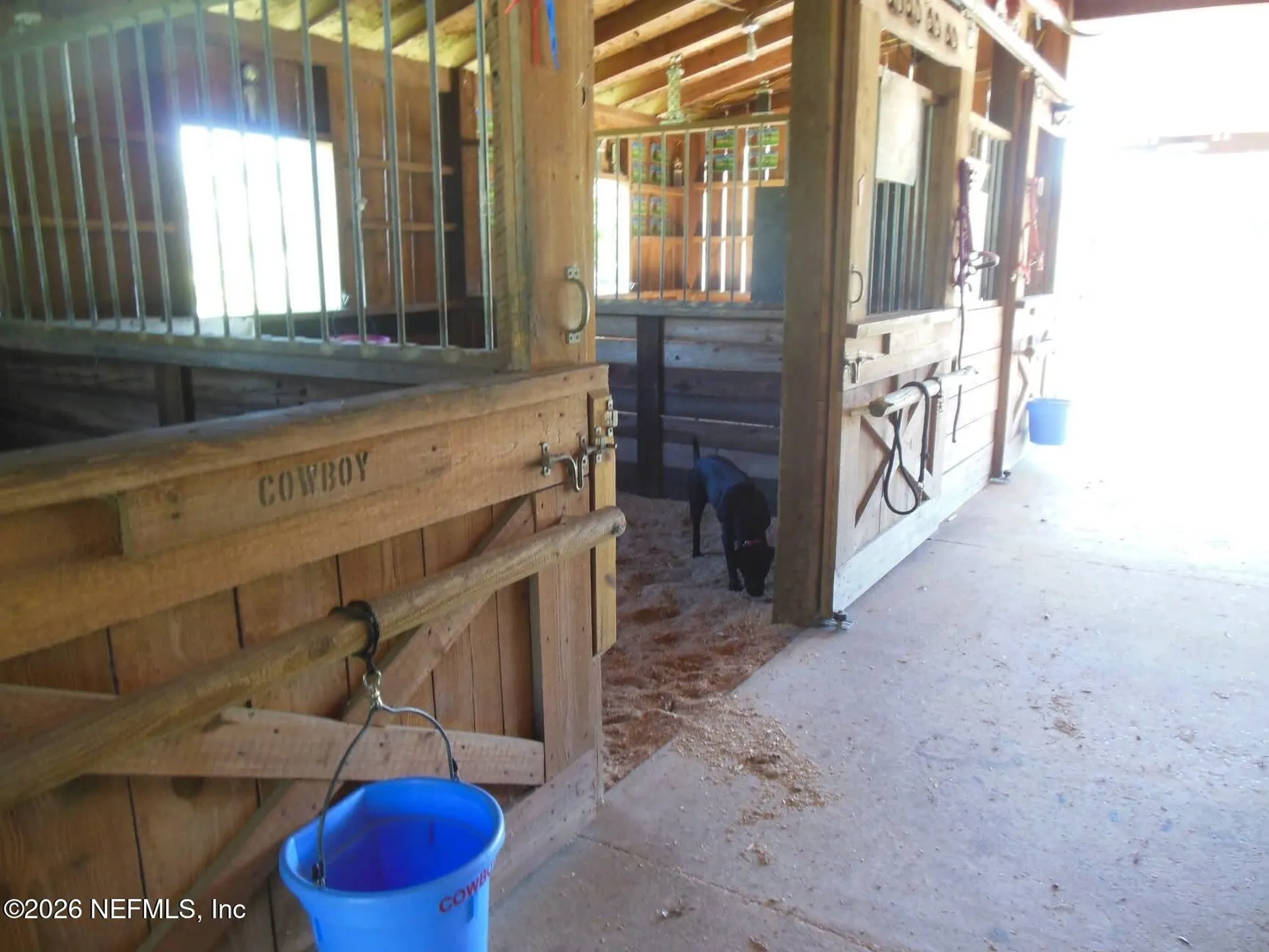 2554 NW 223rd Street NW Lawtey FL 32058