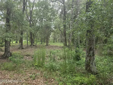 2554 NW 223rd Street NW Lawtey FL 32058