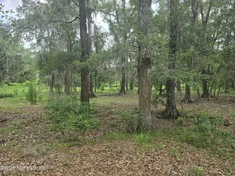 2554 NW 223rd Street NW Lawtey FL 32058