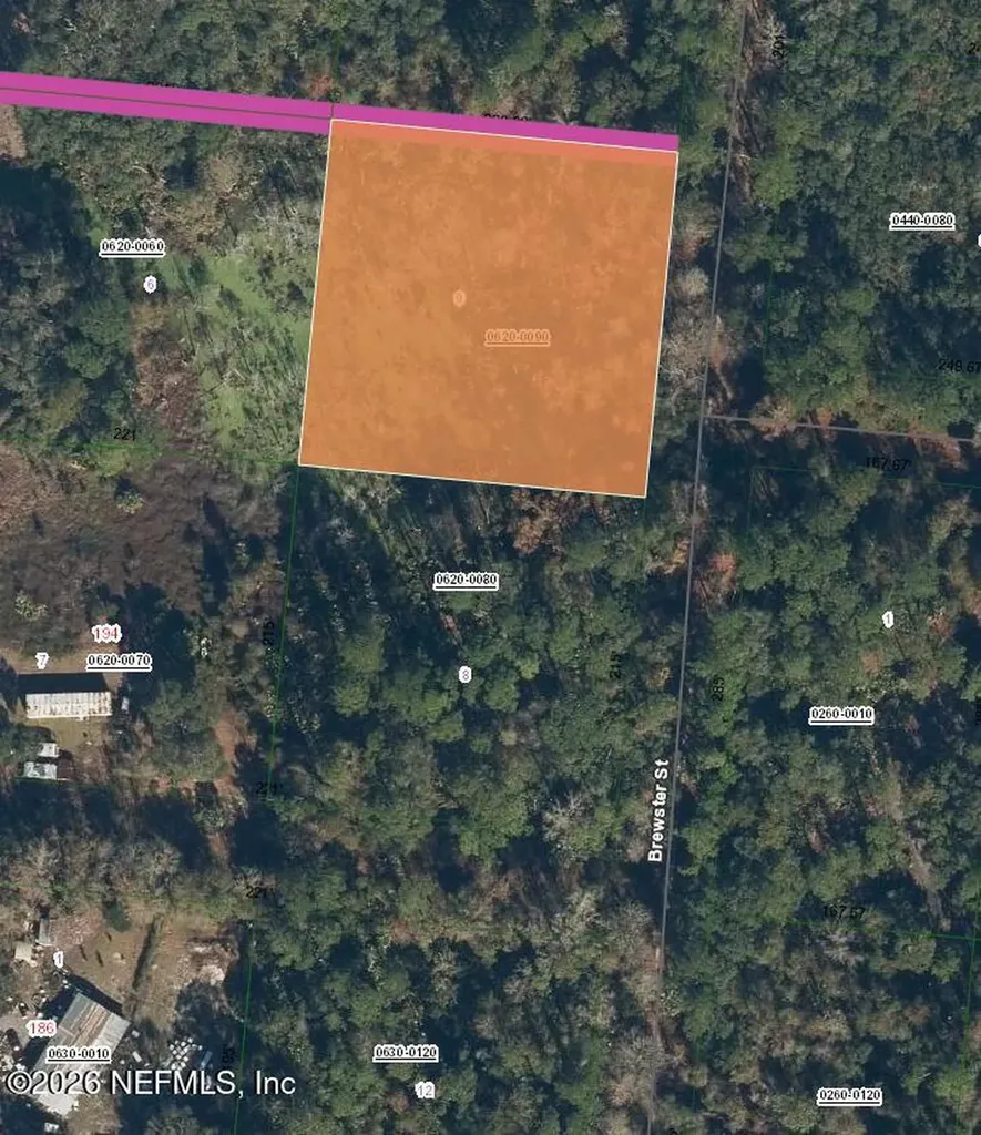 115 Brewster Street Satsuma FL 32189