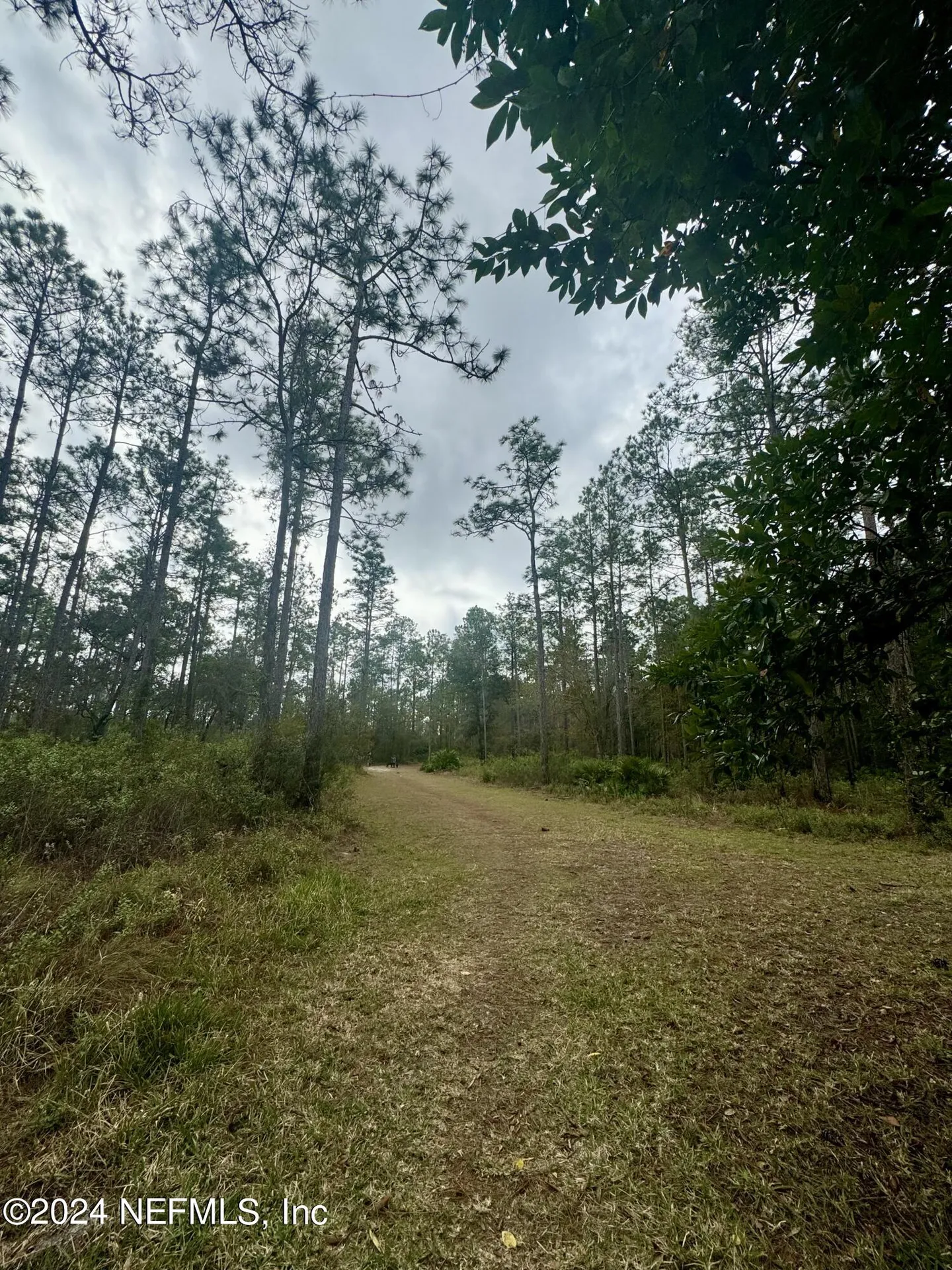 13497 Sunstone Street Jacksonville FL 32258