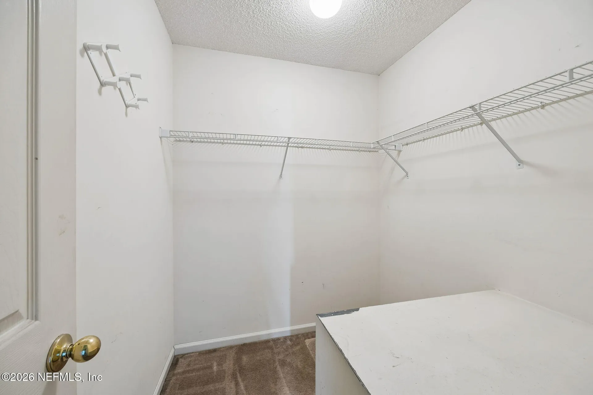 3541 Rain Forest Drive W Jacksonville FL 32277