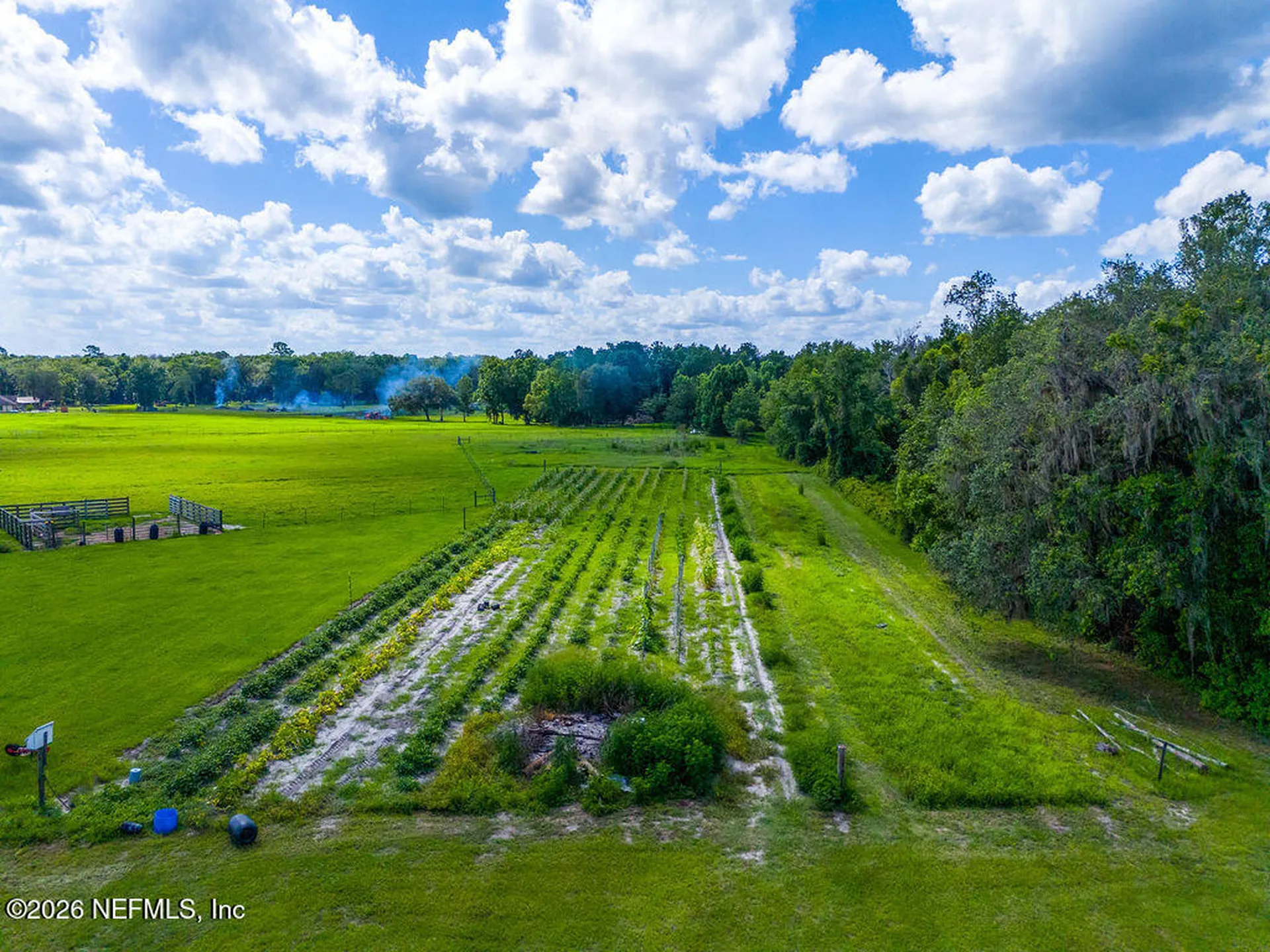9787 SW 118th Lane Brooker FL 32622