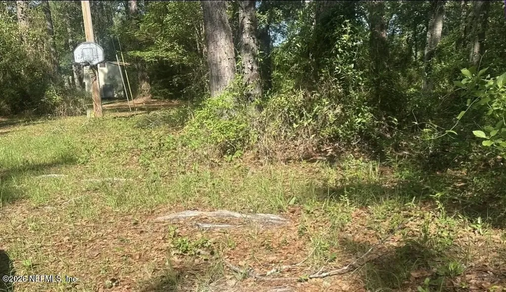 6102 W Riverside Drive Glen St. Mary FL 32040