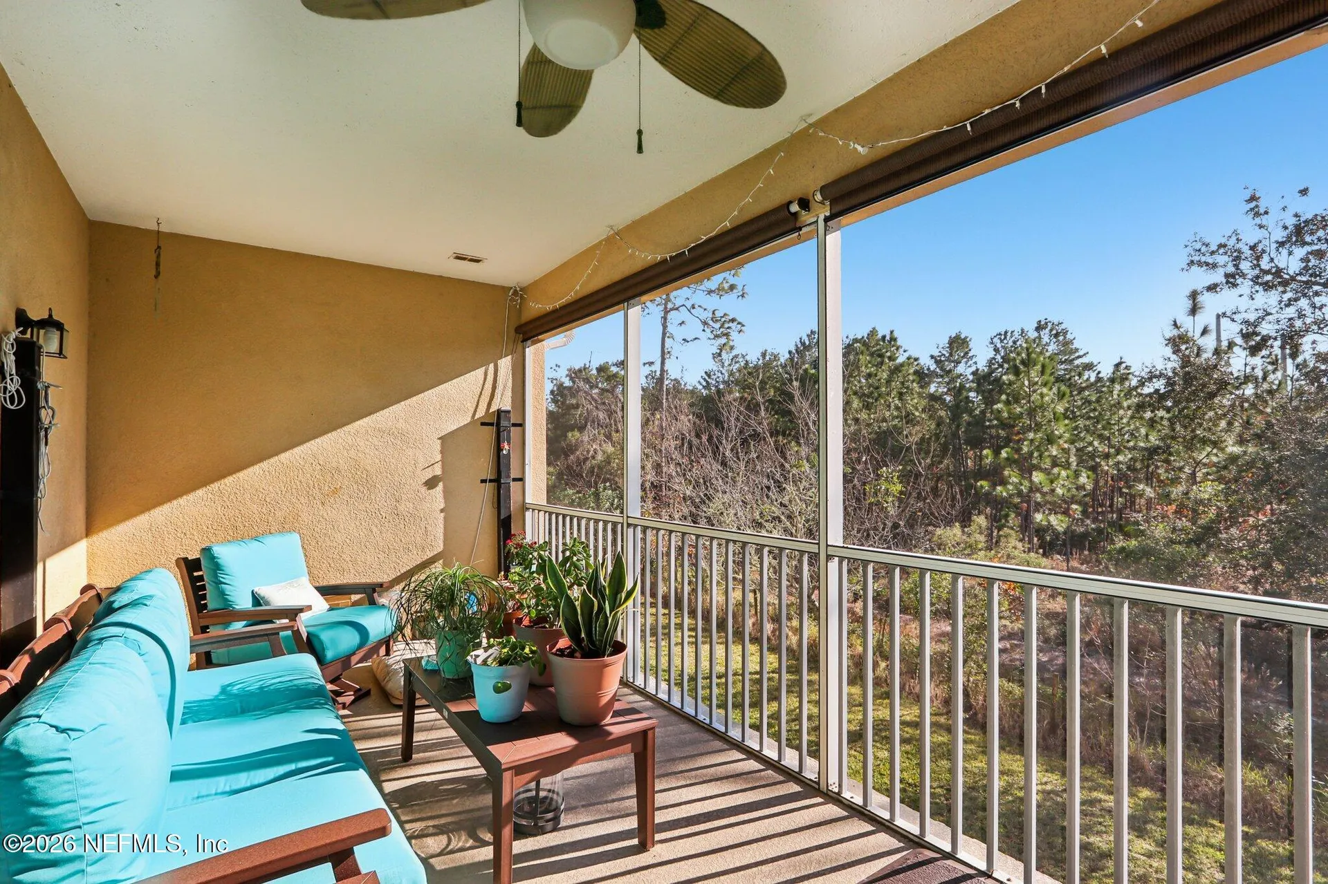 6604 White Blossom Court Jacksonville FL 32258