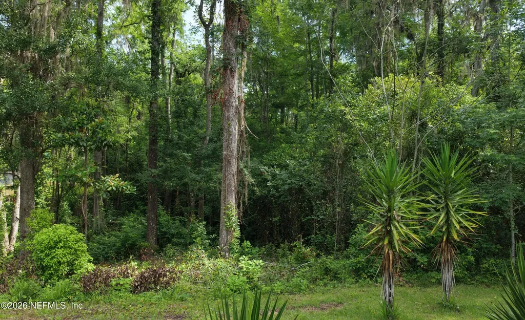 3860 Magnolia Street Middleburg FL 32068