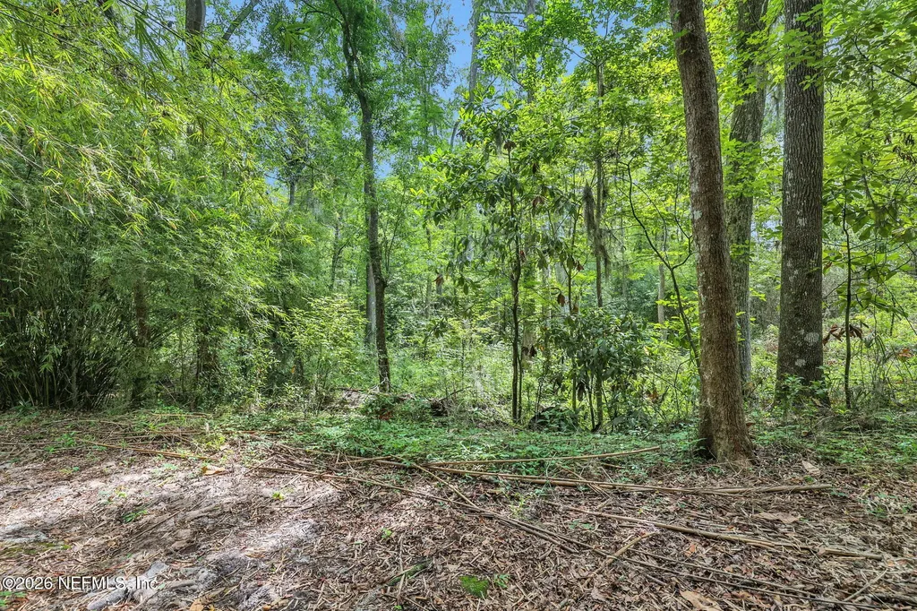 3860 Magnolia Street Middleburg FL 32068