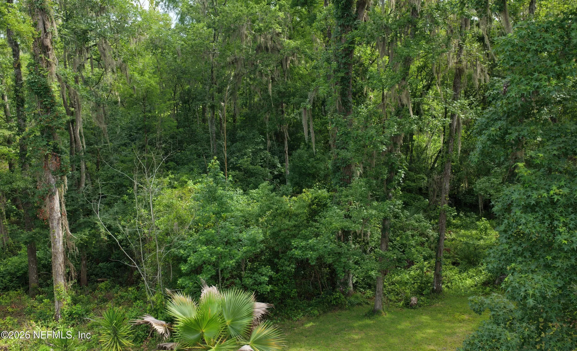 3860 Magnolia Street Middleburg FL 32068