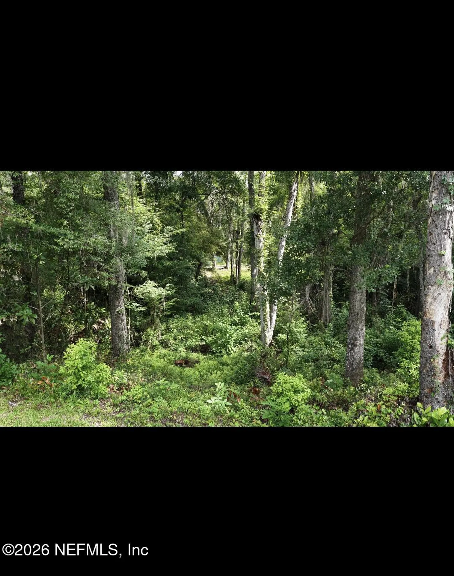3860 Magnolia Street Middleburg FL 32068