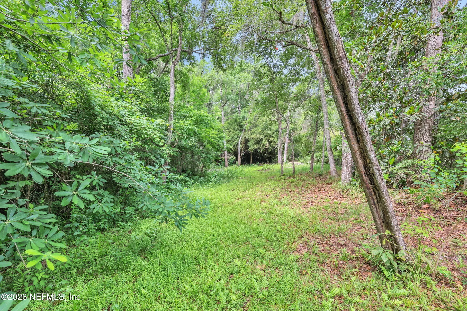 3860 Magnolia Street Middleburg FL 32068
