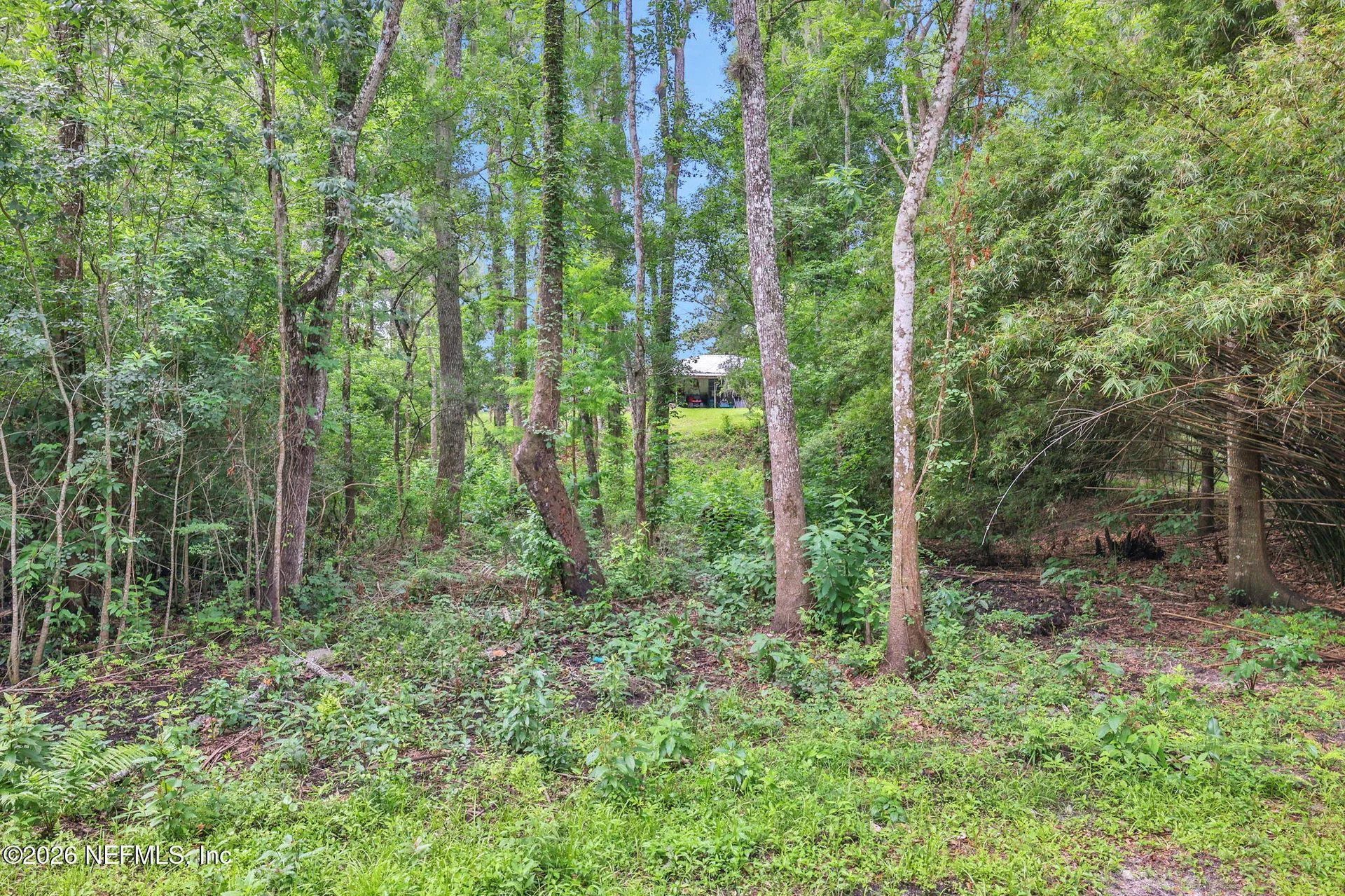 3860 Magnolia Street Middleburg FL 32068