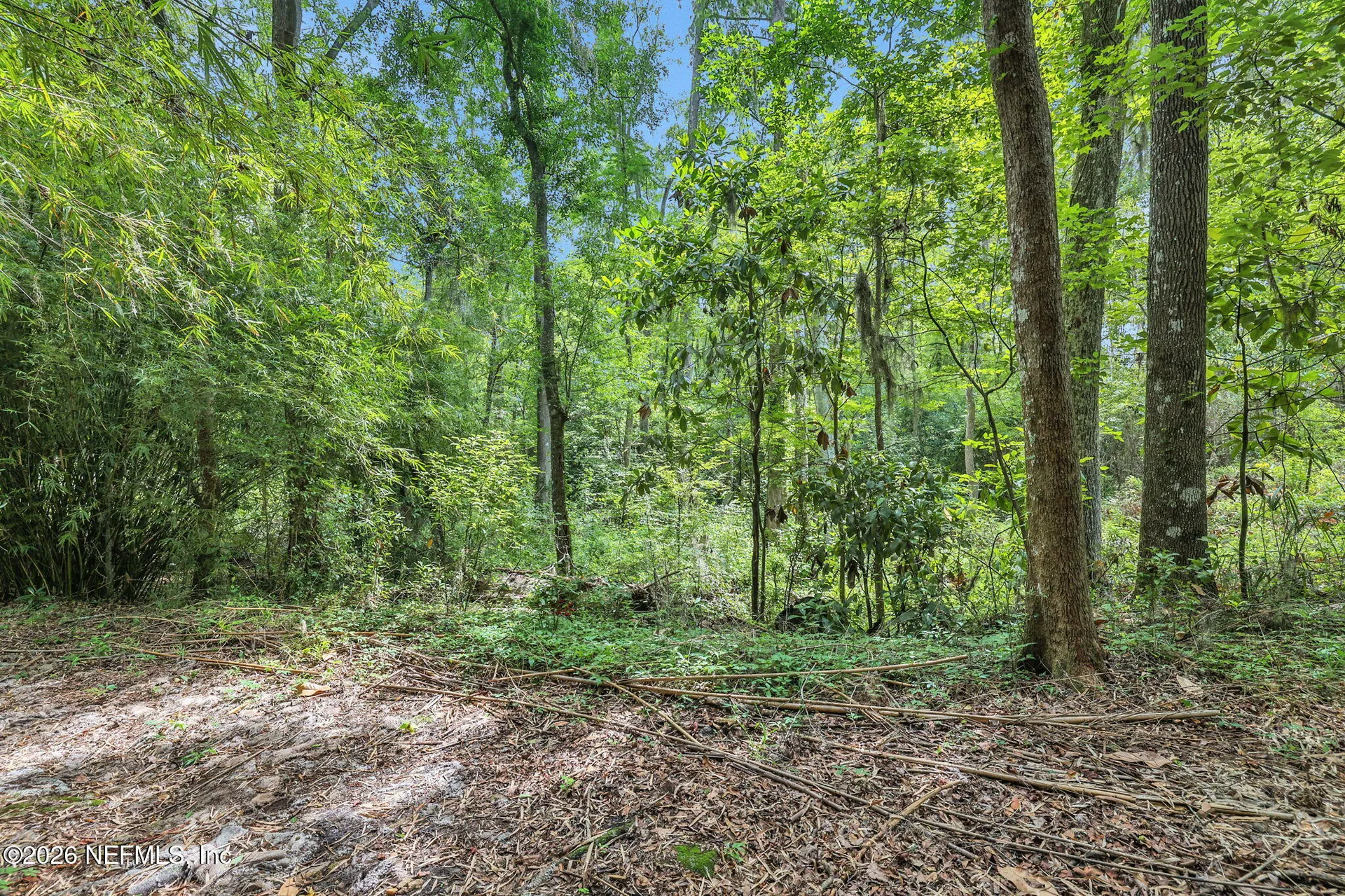 3860 Magnolia Street Middleburg FL 32068