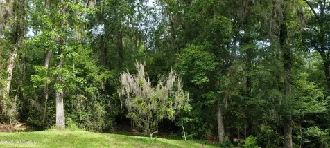 3860 Magnolia Street Middleburg FL 32068