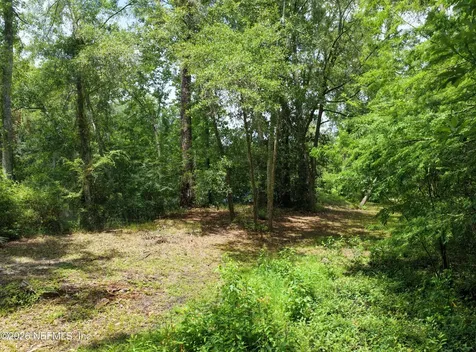3860 Magnolia Street Middleburg FL 32068