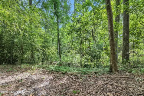 3860 Magnolia Street Middleburg FL 32068