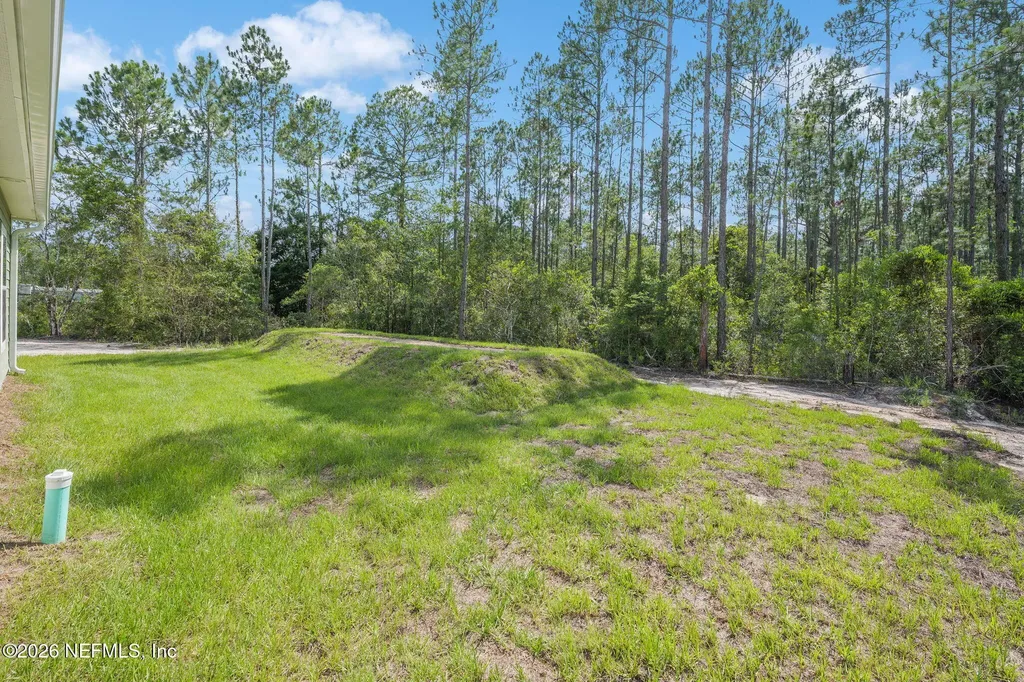 10515 Dillon Avenue Hastings FL 32145