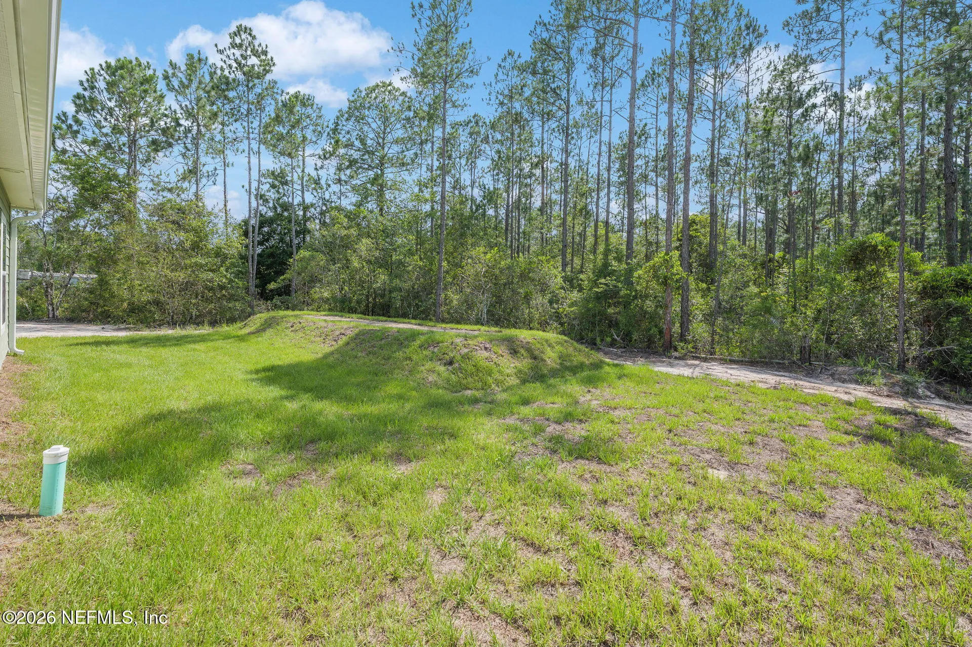 10515 Dillon Avenue Hastings FL 32145