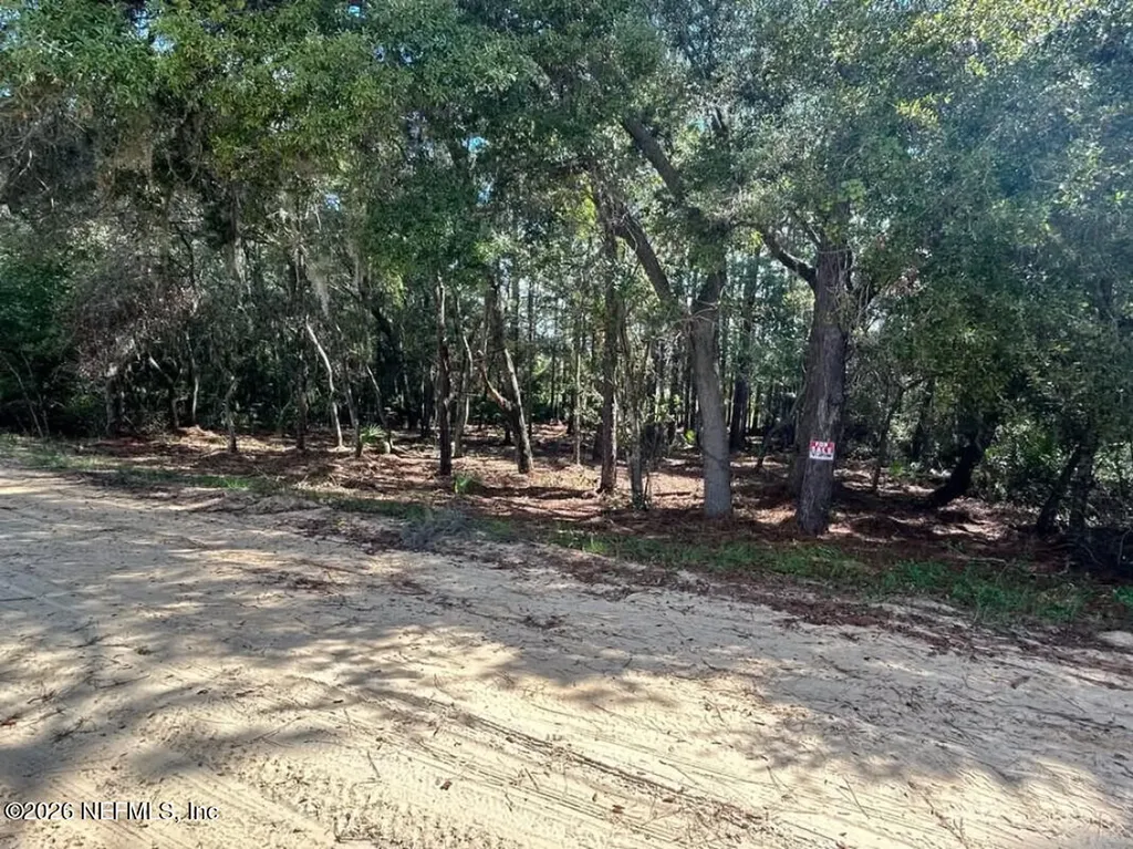 0 Delaware Avenue Interlachen FL 32148