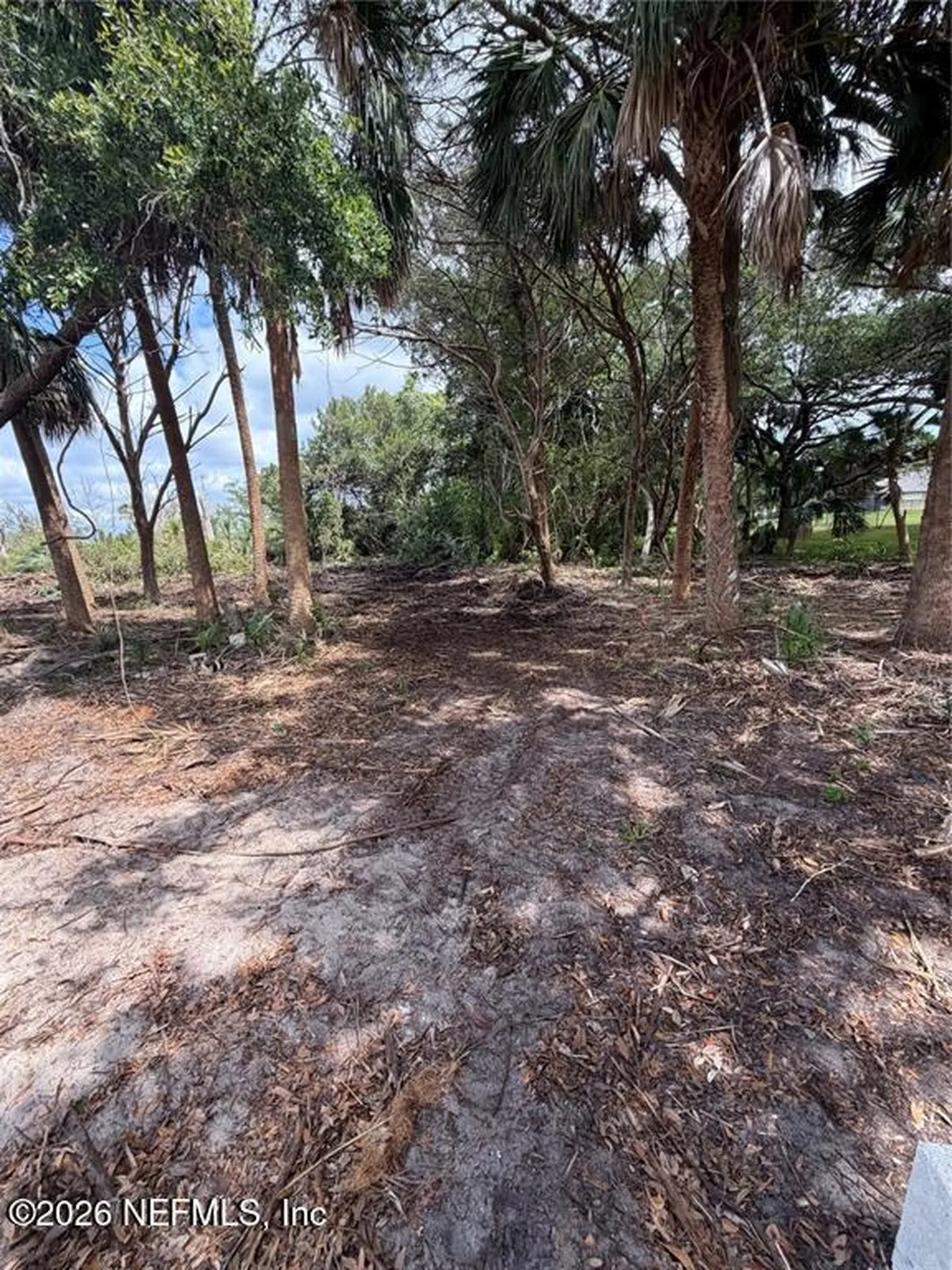 9110 Woodsman Cove Lane Jacksonville FL 32226