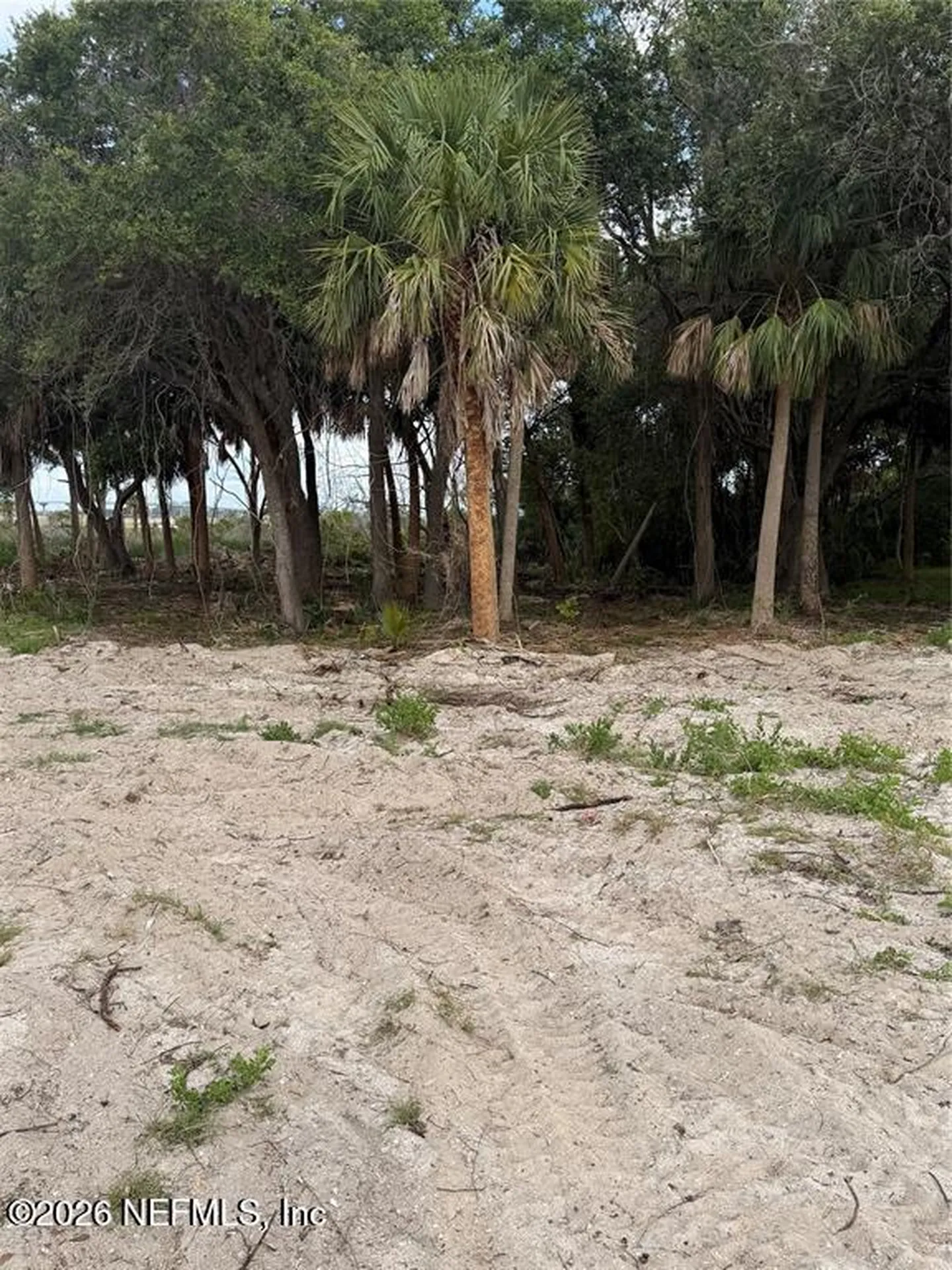 9110 Woodsman Cove Lane Jacksonville FL 32226