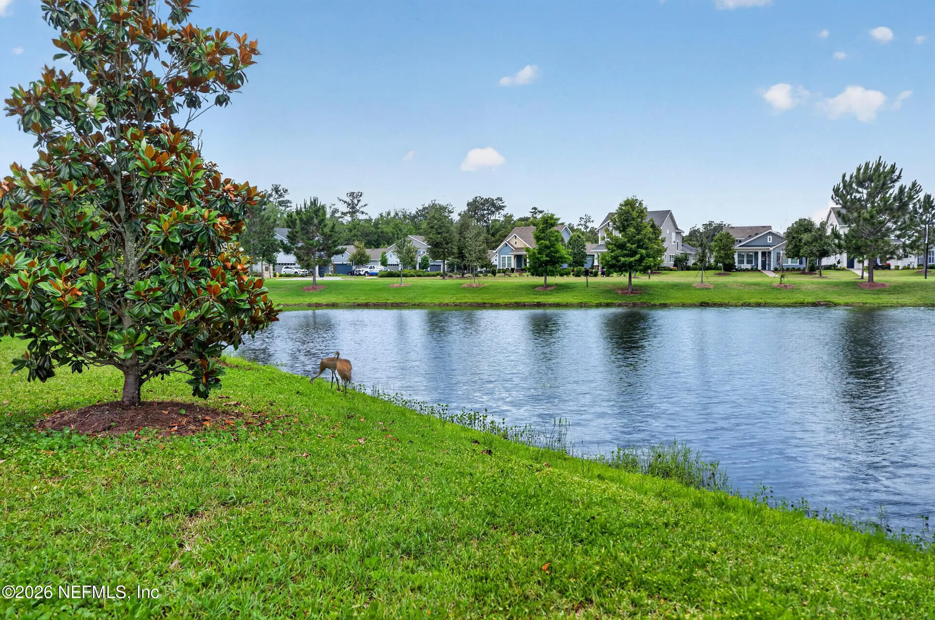 253 Ridgewind Drive St. Augustine FL 32092