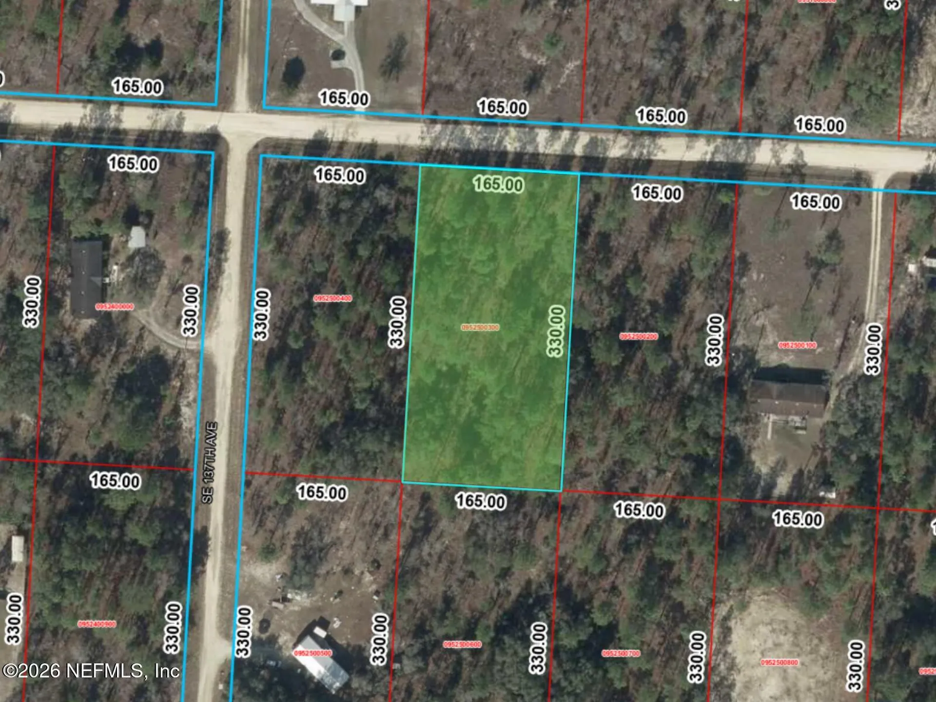 0 SE 25th Street Morriston FL 32668