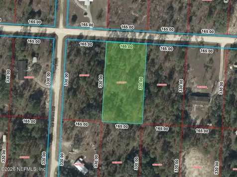 0 SE 25th Street Morriston FL 32668