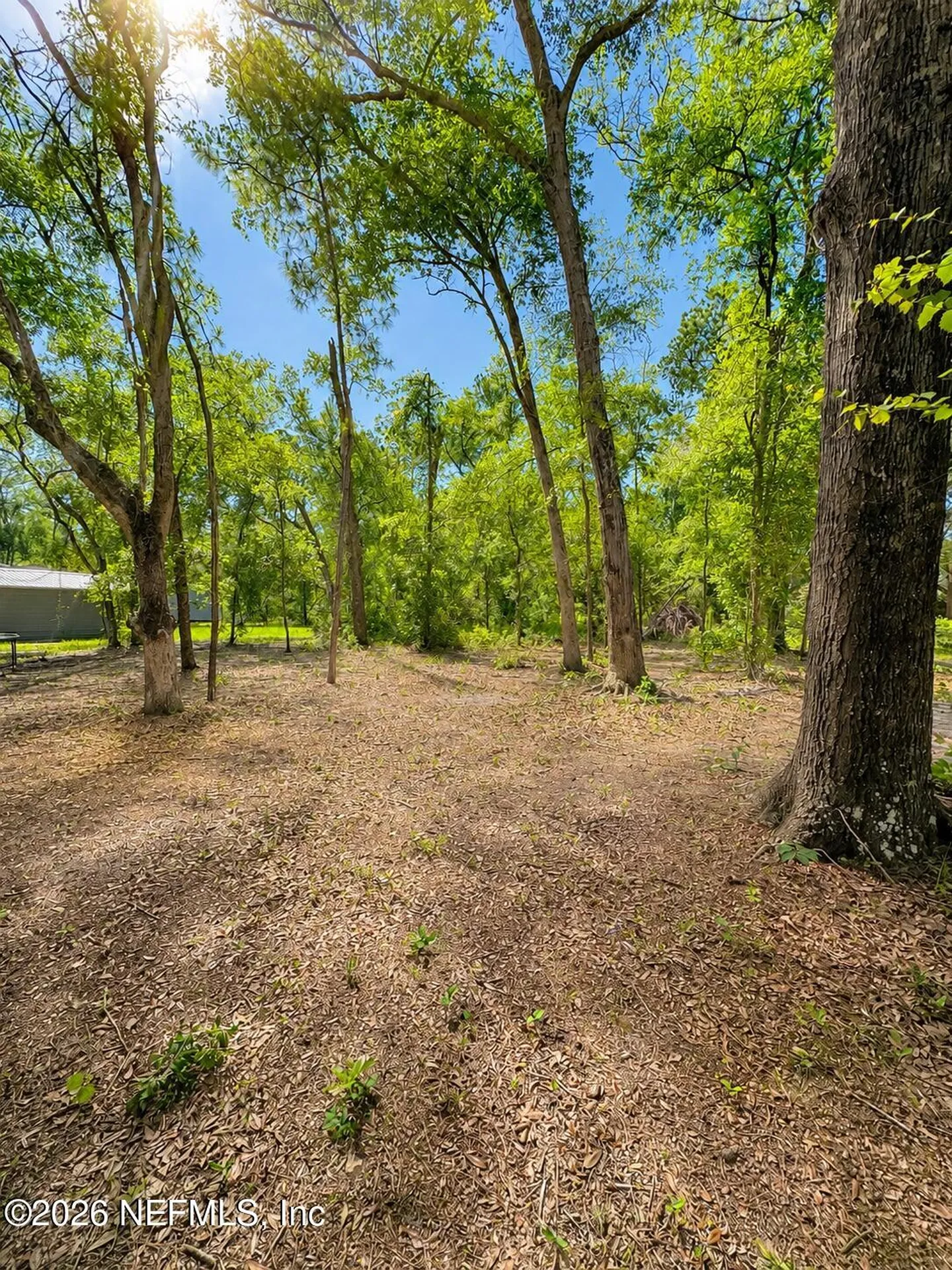 289 NW Adrienne Glen Lake City FL 32055