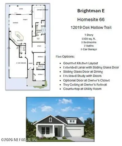 12019 Oak Hollow Trail Jacksonville FL 32256