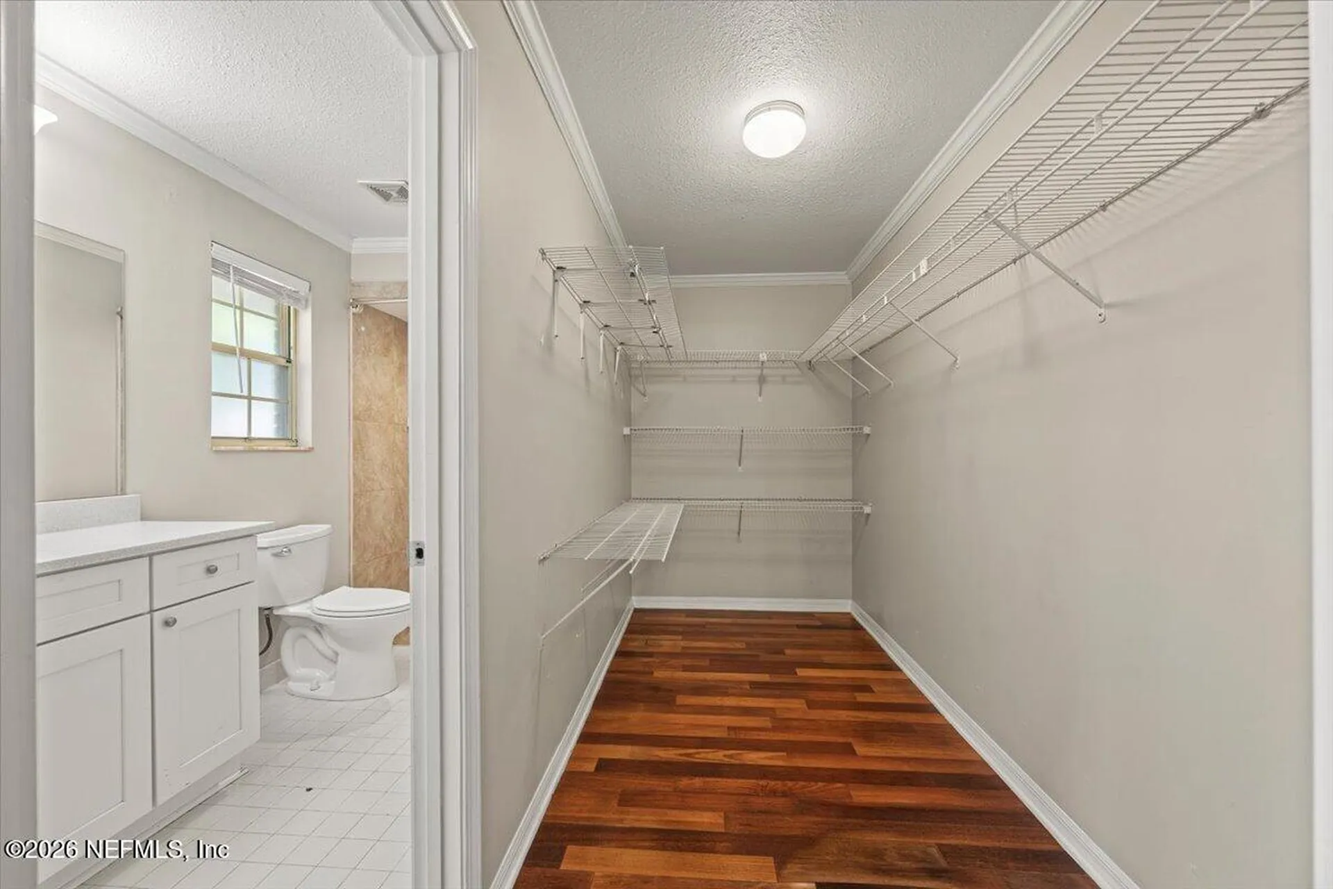 11549 Sedgemoore Drive S Jacksonville FL 32223