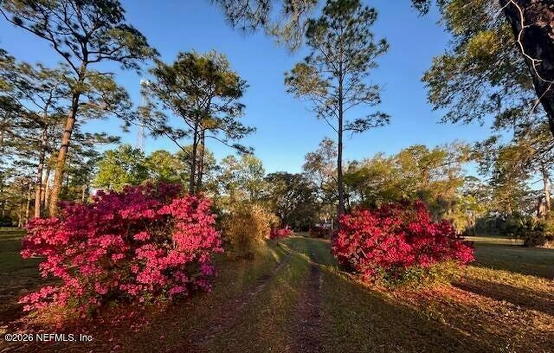 751 N Highway 17 Palatka FL 32177