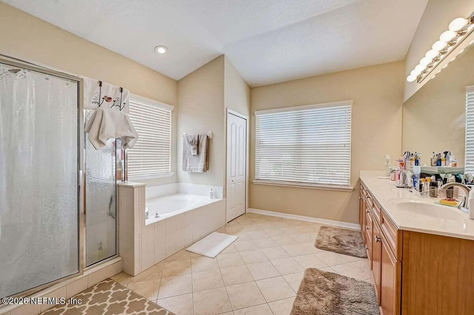 11703 Magnolia Falls Drive Jacksonville FL 32258