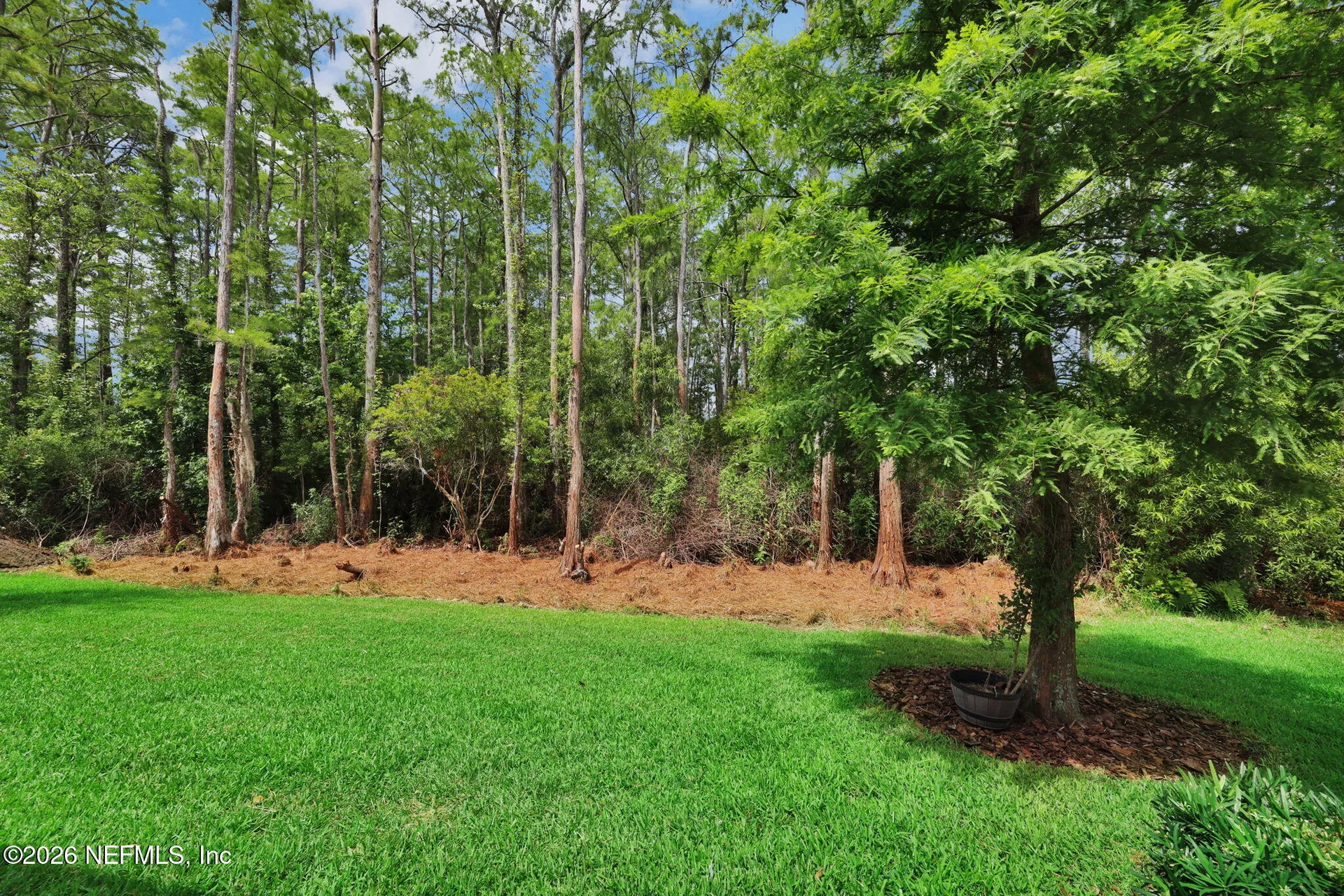 301 Quail Vista Drive Ponte Vedra FL 32081