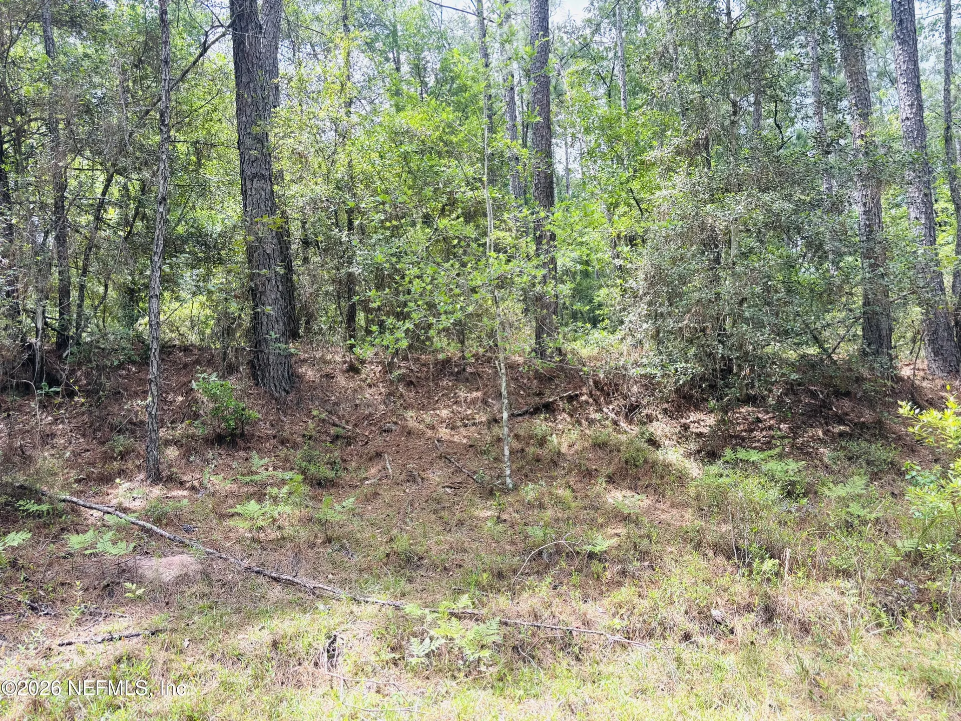0 Lake Hampton Hilliard FL 32046