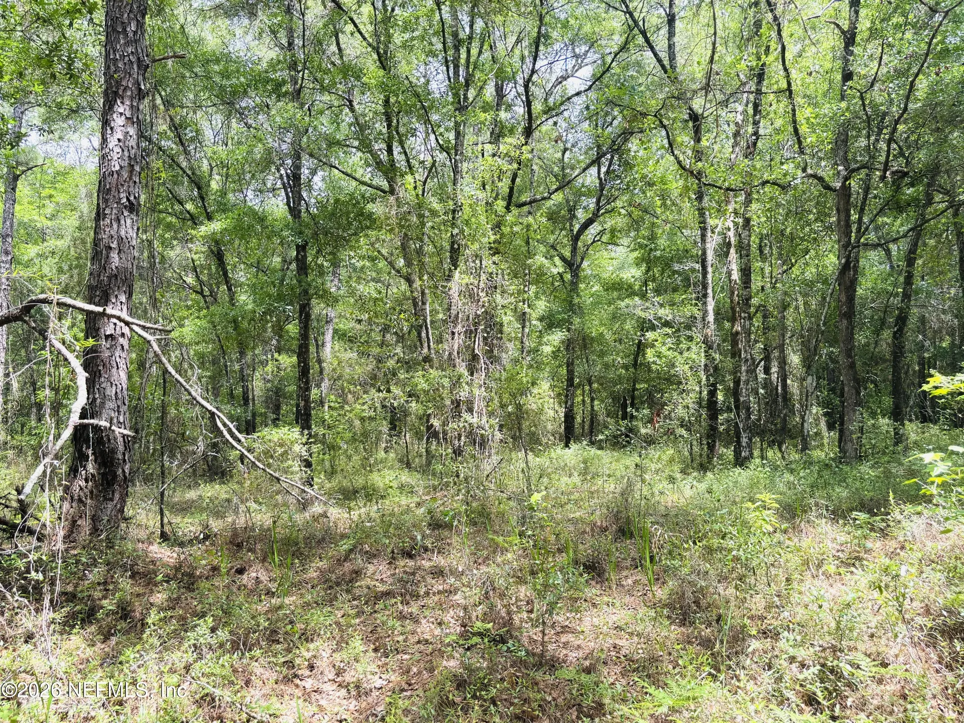 0 Lake Hampton Hilliard FL 32046