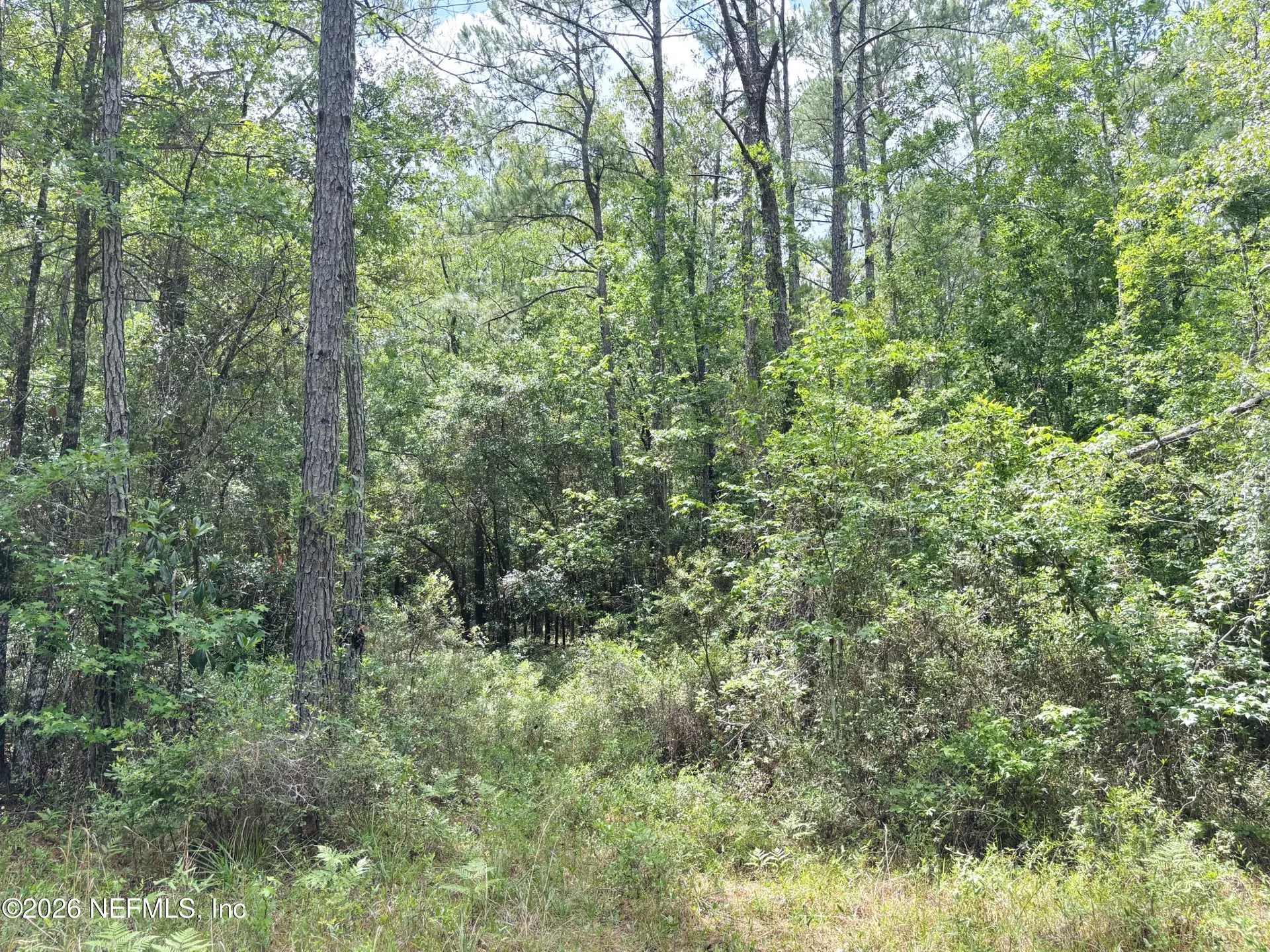 0 Lake Hampton Hilliard FL 32046