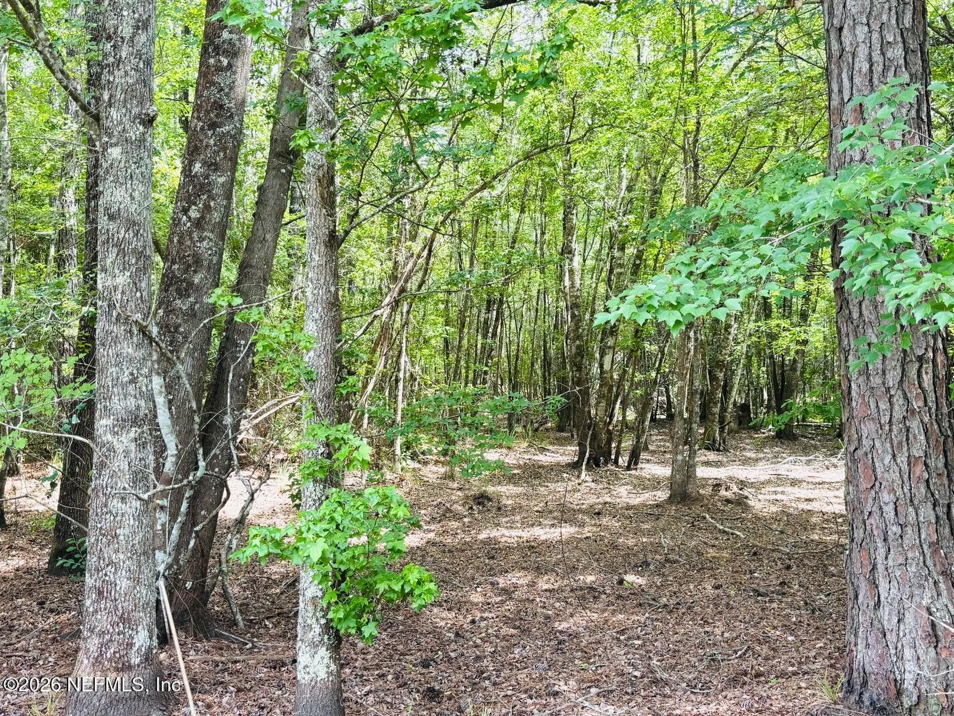 0 Lake Hampton Hilliard FL 32046